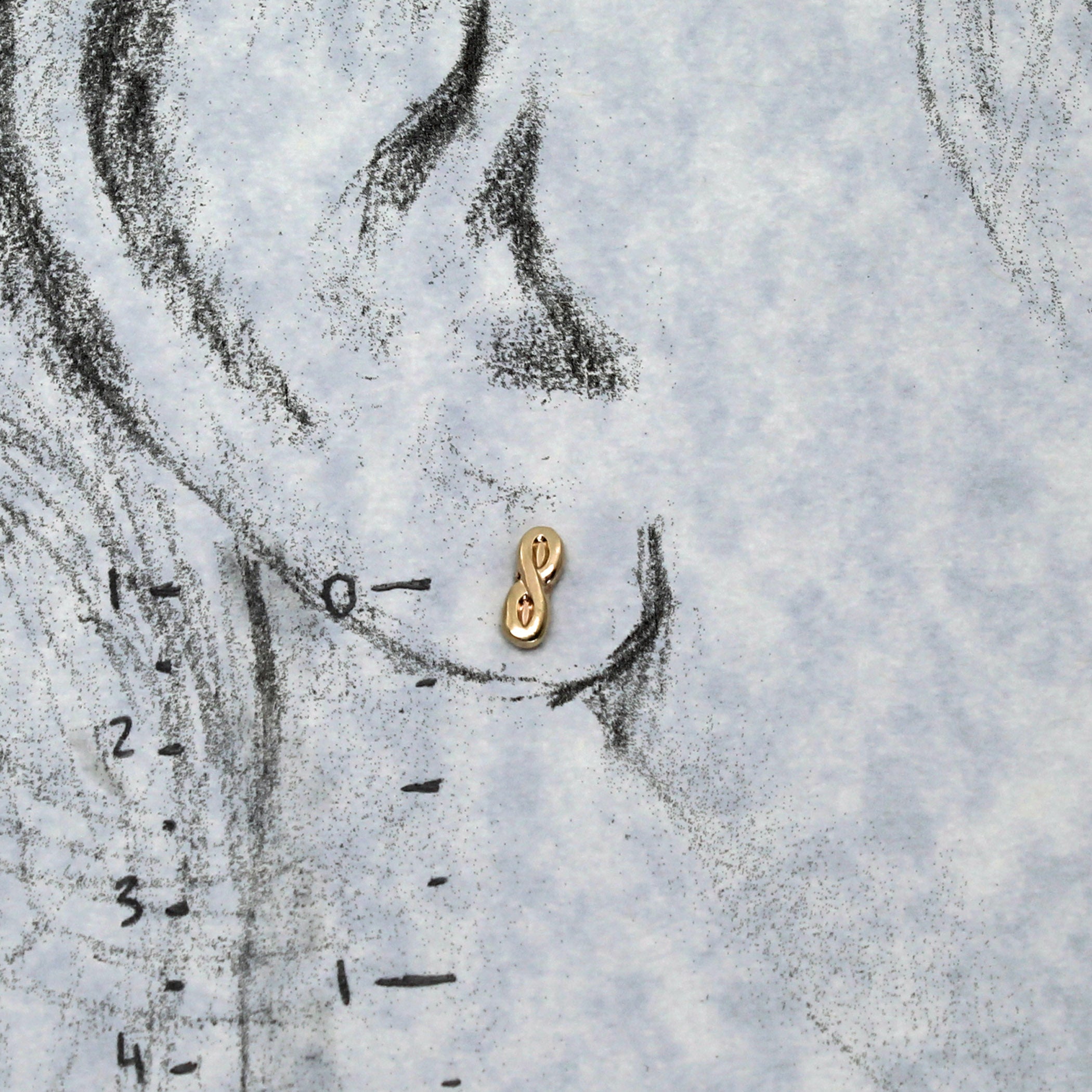 14k infinity studs shown on life size drawing of ear