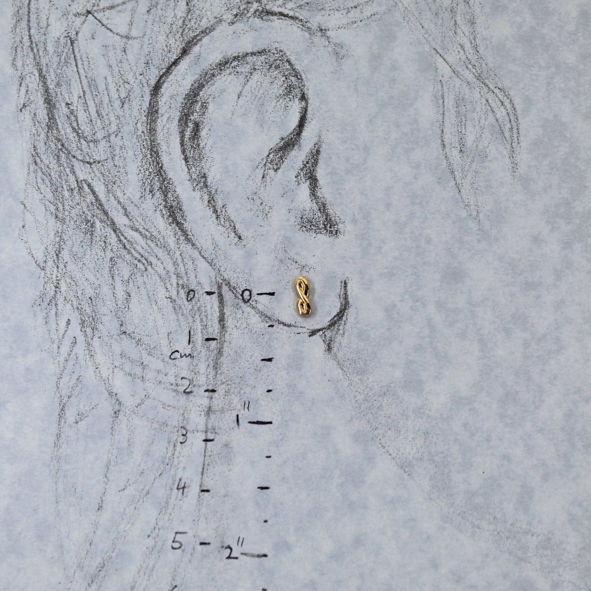 Gold studs shown on life size drawing of an ear with measurements
